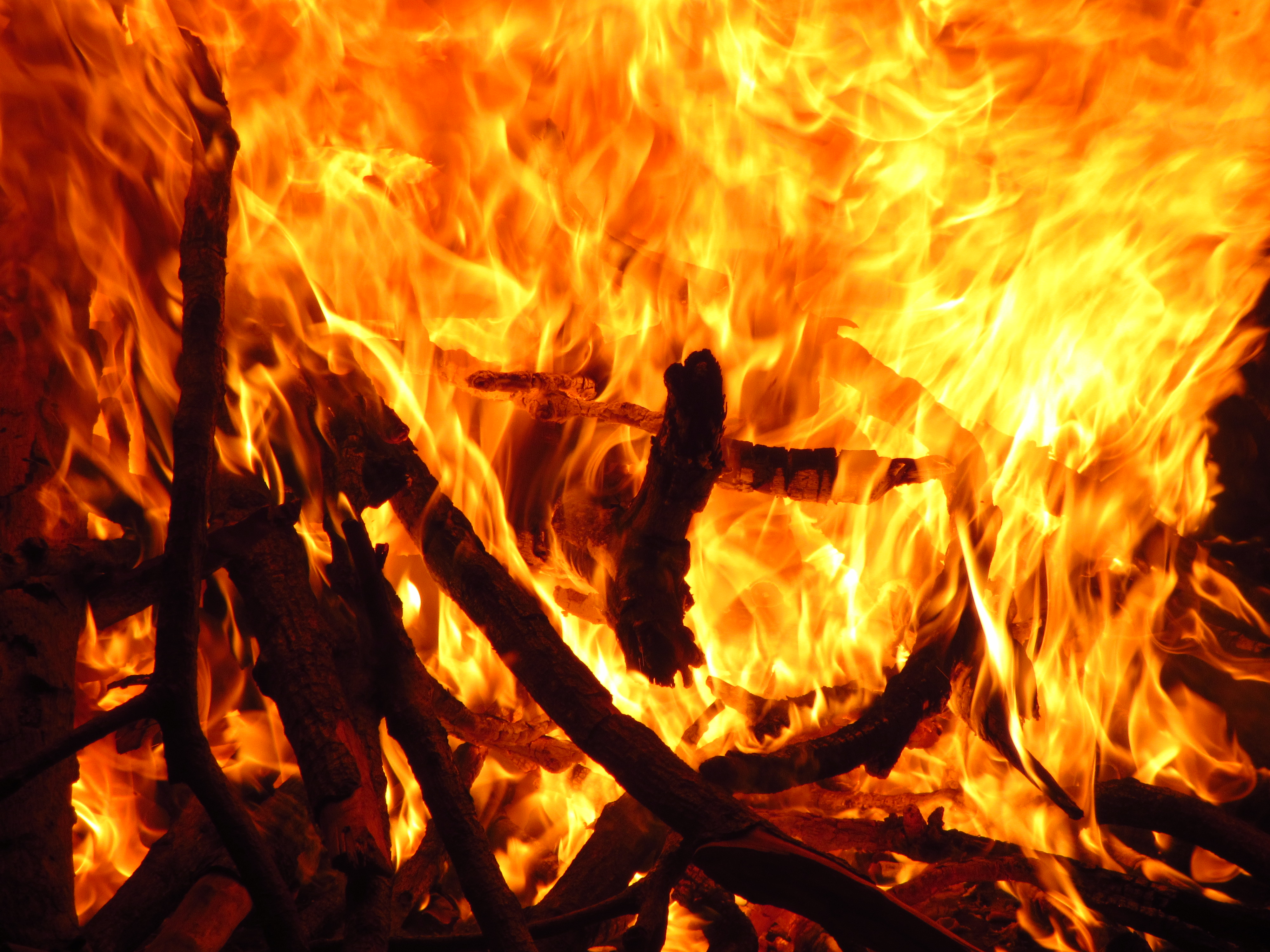 REFLEXIONES JESUITAS: Resistencia