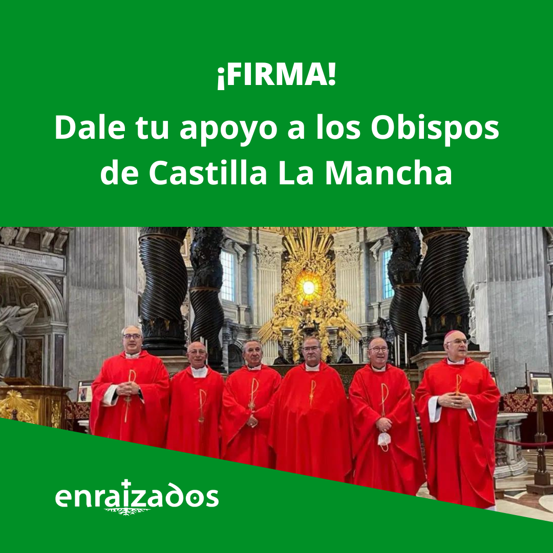 ¡Firma! Agradece y apoya a los Obispos de Castilla La Mancha