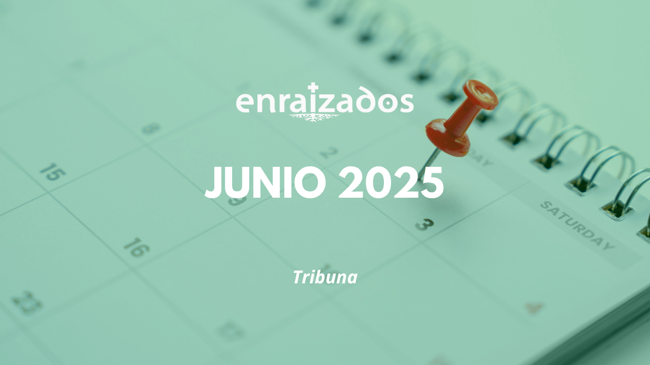 Prensa [Junio 2025]