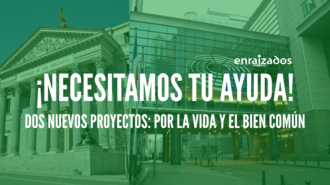 ¿Nos ayudas a levantar estos dos grandes proyectos?