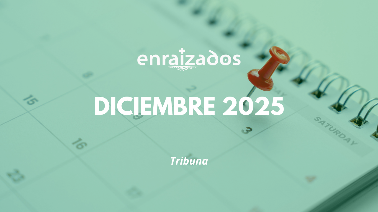 Prensa [Diciembre 2025]