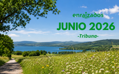 Prensa Junio 2026