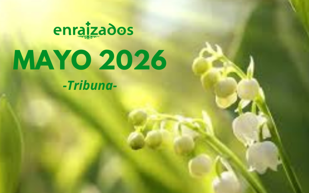 Prensa Mayo 2026