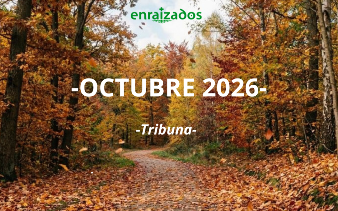 Prensa Octubre 2026
